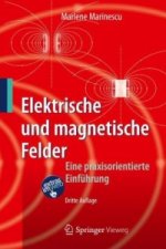 Elektrische und magnetische Felder