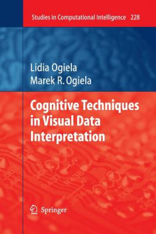 Cognitive Techniques in Visual Data Interpretation