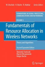 Fundamentals of Resource Allocation in Wireless Networks