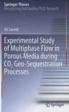 Experimental Study of Multiphase Flow in Porous Media during CO2 Geo-Sequestration Processes