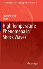 High Temperature Phenomena in Shock Waves