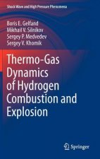 Thermo-Gas Dynamics of Hydrogen Combustion and Explosion
