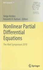 Nonlinear Partial Differential Equations