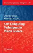 Soft Computing Techniques in Vision Science