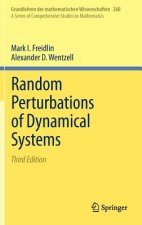 Random Perturbations of Dynamical Systems