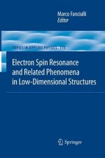 Electron Spin Resonance and Related Phenomena in Low-Dimensional Structures