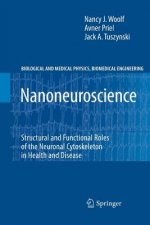 Nanoneuroscience