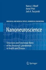 Nanoneuroscience