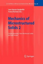 Mechanics of Microstructured Solids 2