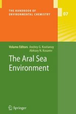 Aral Sea Environment