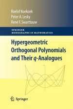 Hypergeometric Orthogonal Polynomials and Their q-Analogues