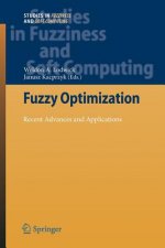 Fuzzy Optimization