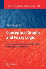 Conceptual Graphs and Fuzzy Logic