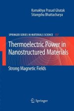 Thermoelectric Power in Nanostructured Materials