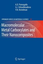 Macromolecular Metal Carboxylates and Their Nanocomposites