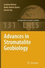 Advances in Stromatolite Geobiology