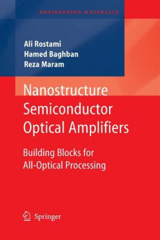 Nanostructure Semiconductor Optical Amplifiers