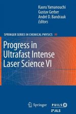 Progress in Ultrafast Intense Laser Science VI