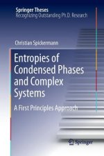 Entropies of Condensed Phases and Complex Systems