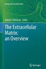 Extracellular Matrix: an Overview