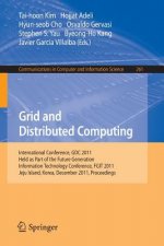 Grid and Distributed Computing