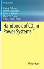 Handbook of CO2 in Power Systems