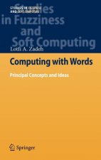 Computing with Words
