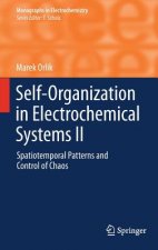 Self-Organization in Electrochemical Systems II