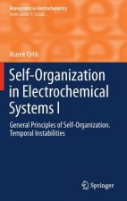Self-Organization in Electrochemical Systems I
