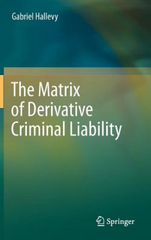 Matrix of Derivative Criminal Liability