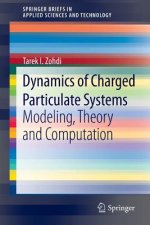 Dynamics of Charged Particulate Systems