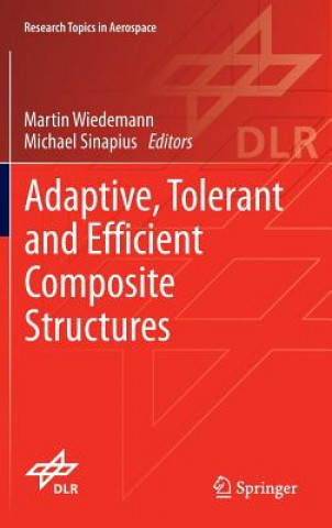 Adaptive, tolerant and efficient composite structures