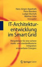 It-Architekturentwicklung Im Smart Grid