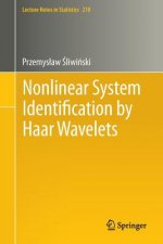 Nonlinear System Identification by Haar Wavelets