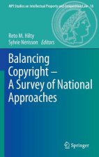 Balancing Copyright - A Survey of National Approaches