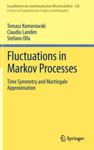 Fluctuations in Markov Processes