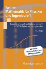 Mathematik Fur Physiker Und Ingenieure 1