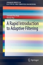Rapid Introduction to Adaptive Filtering