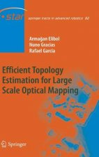 Efficient Topology Estimation for Large Scale Optical Mapping