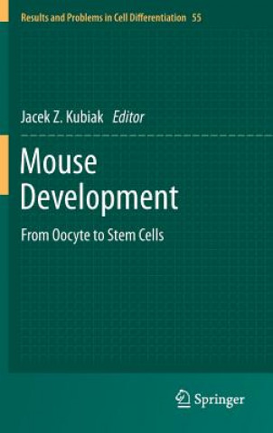 Mouse Development