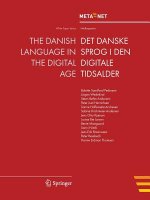 Danish Language in the Digital Age
