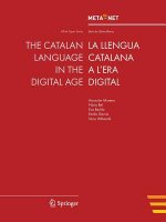 Catalan Language in the Digital Age
