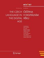 Czech Language in the Digital Age