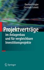 Projektvertrage Im Anlagenbau Und Fur Vergleichbare Investitionsprojekte