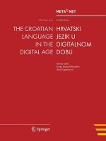 Croatian Language in the Digital Age