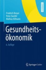 Gesundheitsoekonomik