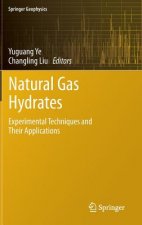 Natural Gas Hydrates