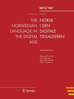 Norwegian Language in the Digital Age