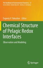 Chemical Structure of Pelagic Redox Interfaces