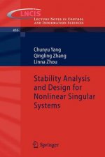 Stability Analysis and Design for Nonlinear Singular Systems